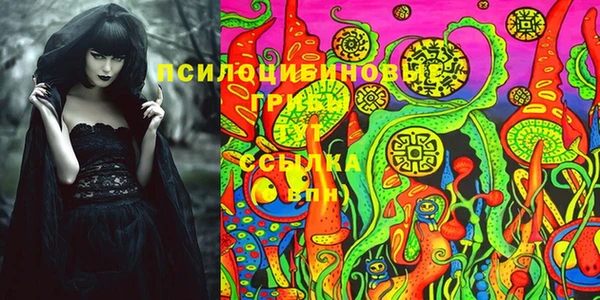 МДПВ Вязьма