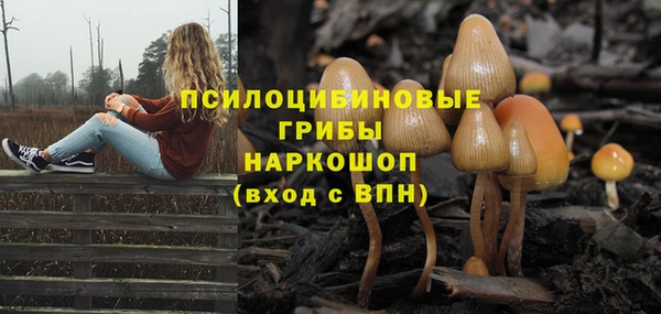 амф Алексеевка